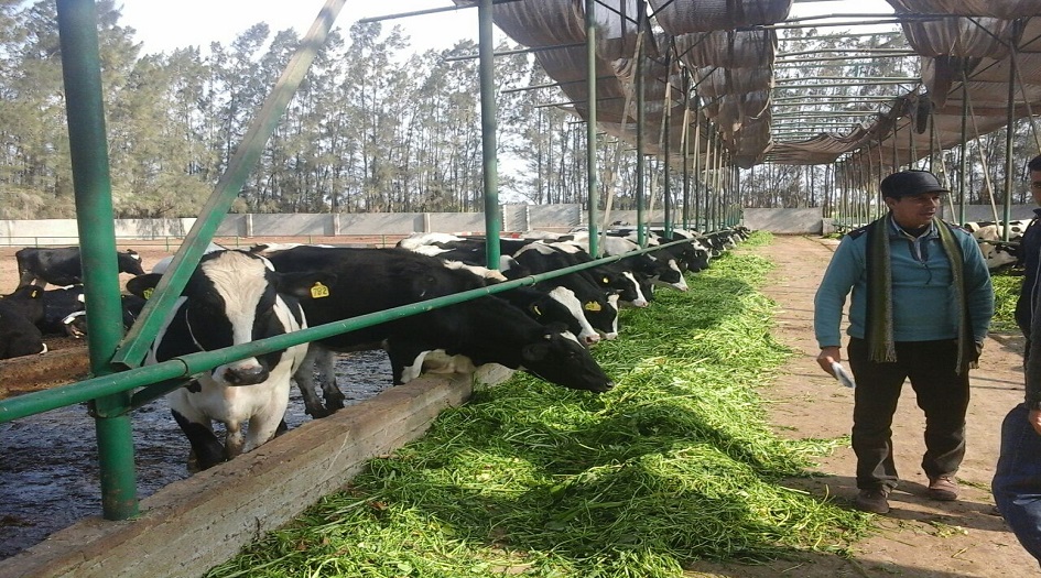 الحكومة الايرانية تدعم العاطلين عن العمل بسبب كورونا