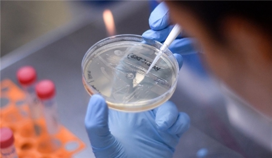 الصحة العالمية: 10 لقاحات ضد كورونا قيد التجارب السريرية