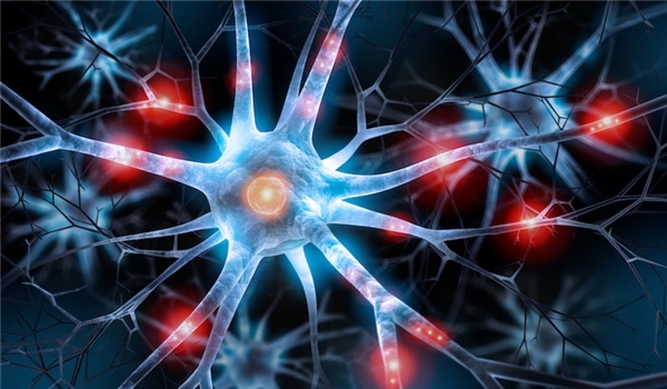 ايران رائدة في المنطقة بتكنولوجيا "خلايا المنشأ"