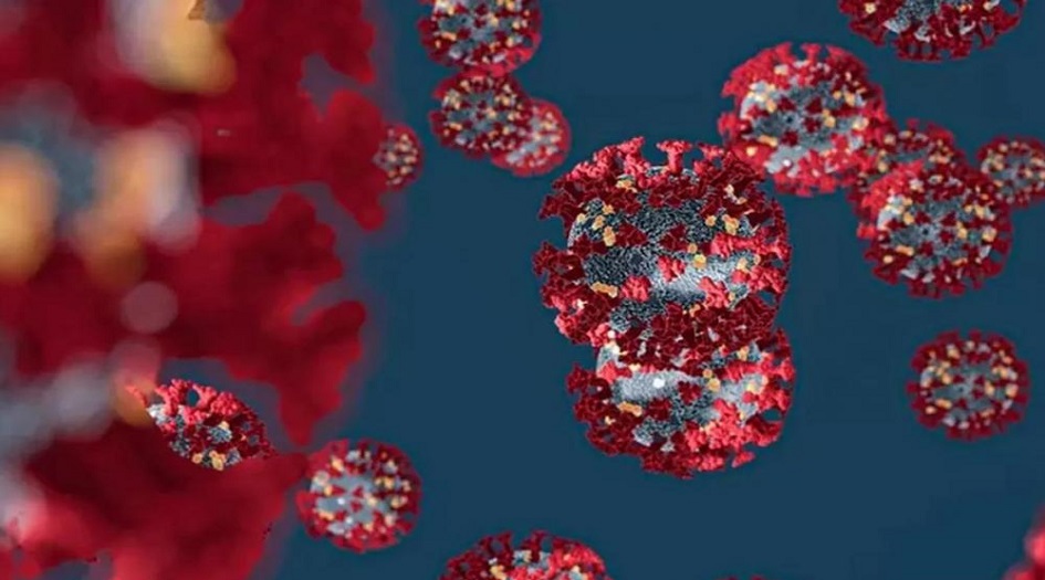 بالأرقام والنسب.. دراسة علمية الأولى من نوعها في العراق عن كورونا