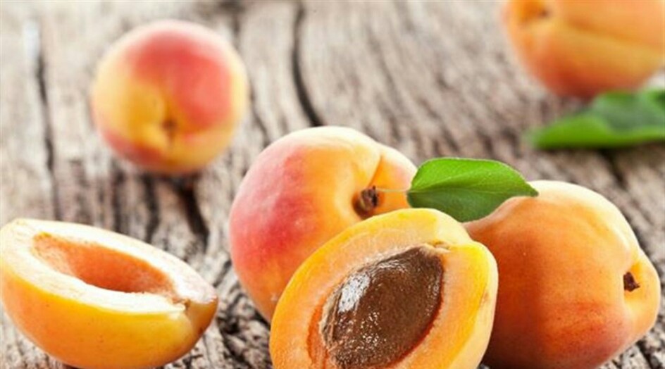 فوائد المشمش لا تحصى ولا تعدّ...اكتشفوها