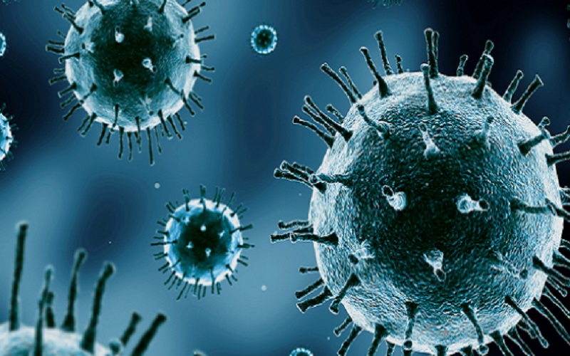 بعد كورونا.. الصين تحذر من فيروس جديد يهدد البشر