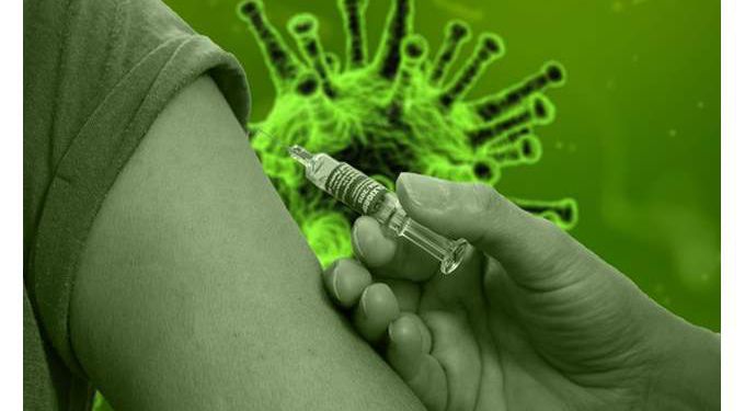 العثور على أجسام مضادة لفيروس كورونا لدى القطط والكلاب