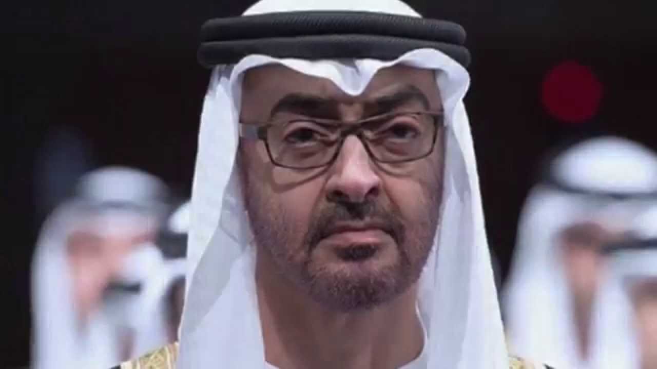 أكاديمي إماراتي يهاجم محمد بن زايد ويفجر مفاجأة مدوية