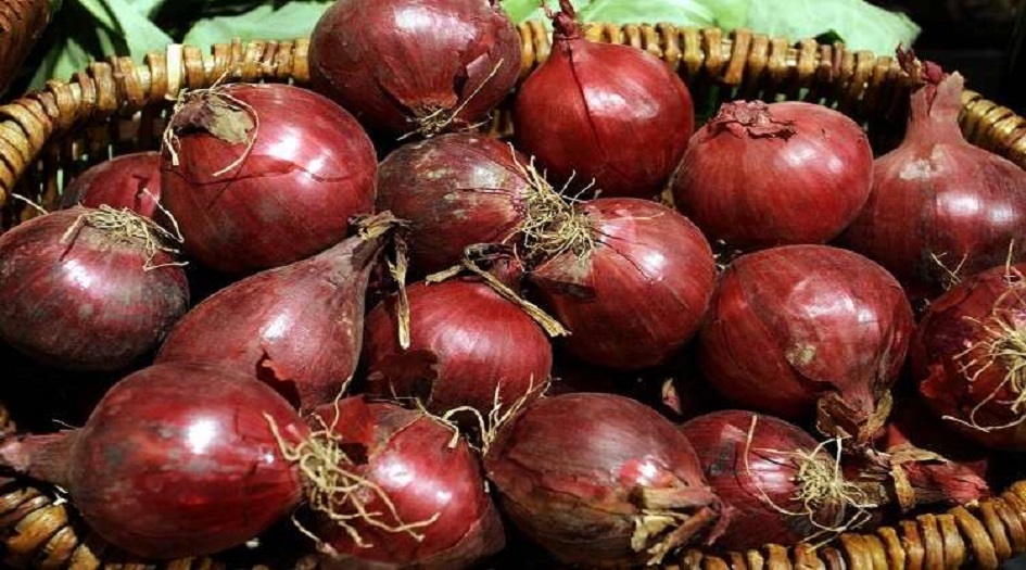 البصل الأحمر يُرعب الولايات المتحدة