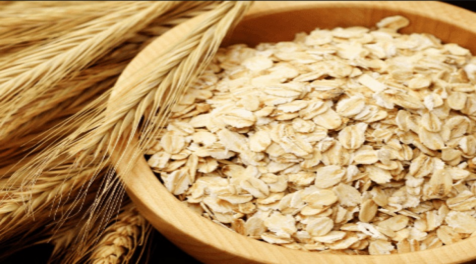 خبير تغذية يتحدث عن مخاطر تناول الشوفان يوميا