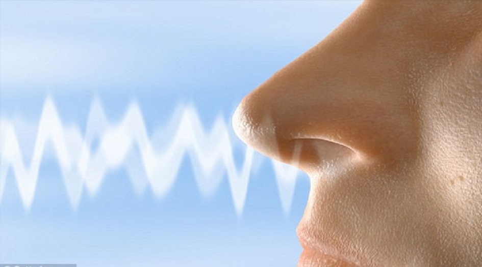 دراسة حديثة تكشف عن سر فقدان حاسة الشم بسبب كورونا