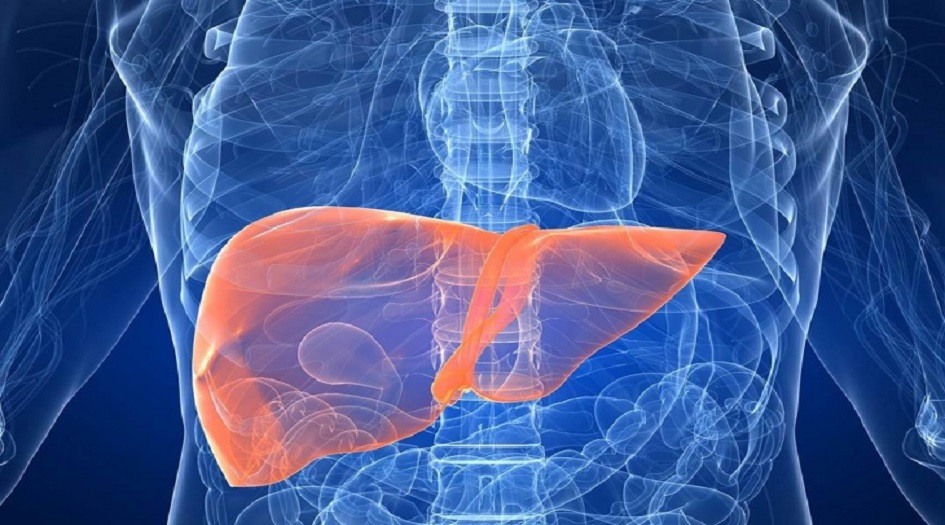 مواد غذائية مضرة بالكبد تعرف عليها...