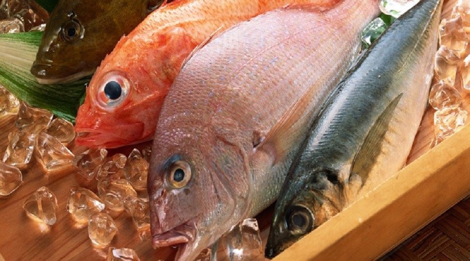 تعرف على  أصناف السمك المناسب للاطفال