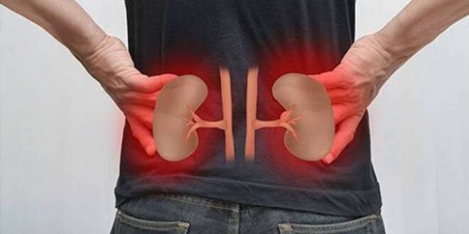 طرق لإزالة السموم من الكبد والكلى