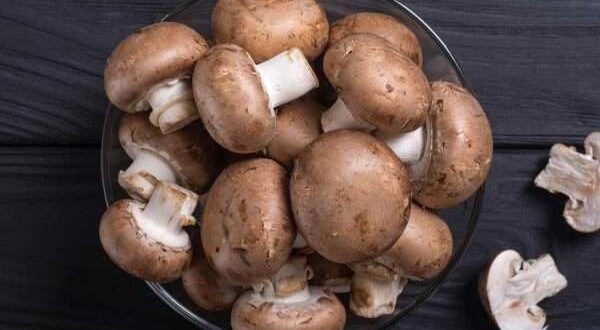 هل تعلم أن الفطر قد يساعدك على الوقاية من السرطان؟.. فوائده وأنواعه