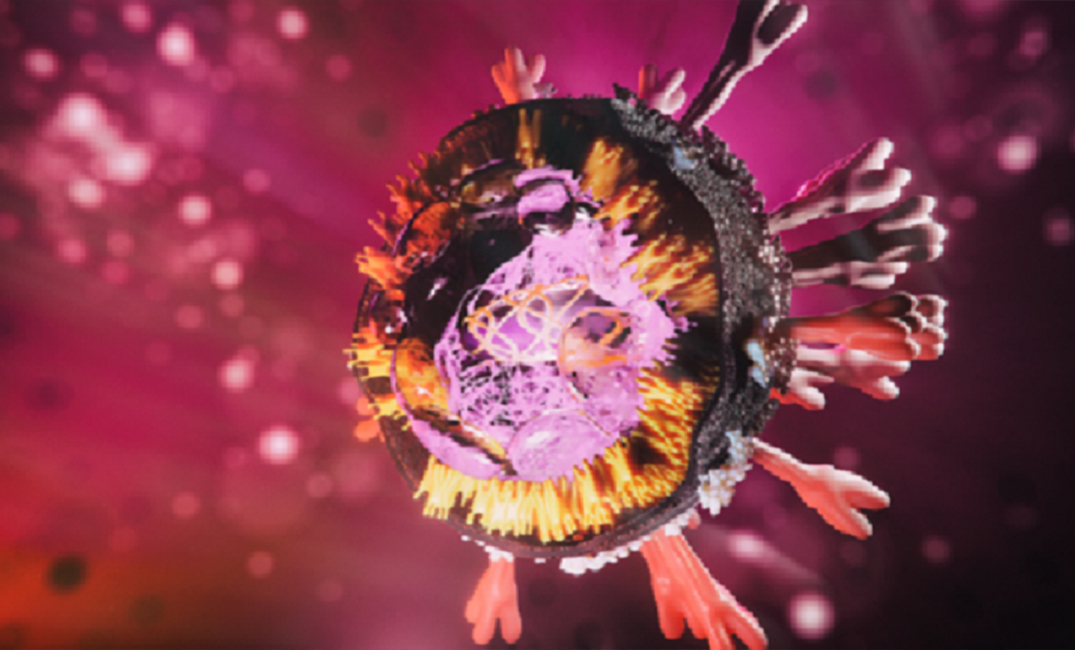 العثور على علاقة بين التهاب الأمعاء وكوفيد-19