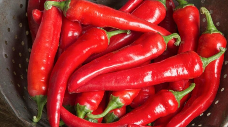 دراسة تزعم الكشف عن أثر صحي رائع لتناول الفلفل الحار!
