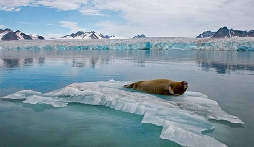 القطب الشمالي.. ارتفاع درجات الحرارة بوتائر قياسية
