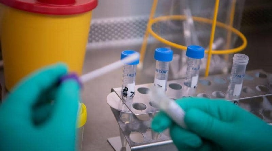 لماذا لا تثير سلالة كورونا الجديدة القلق؟.. خبراء يوضحون