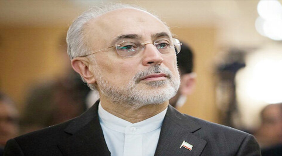 صالحي: جميع شؤون صناعتنا النووية تشهد تقدما