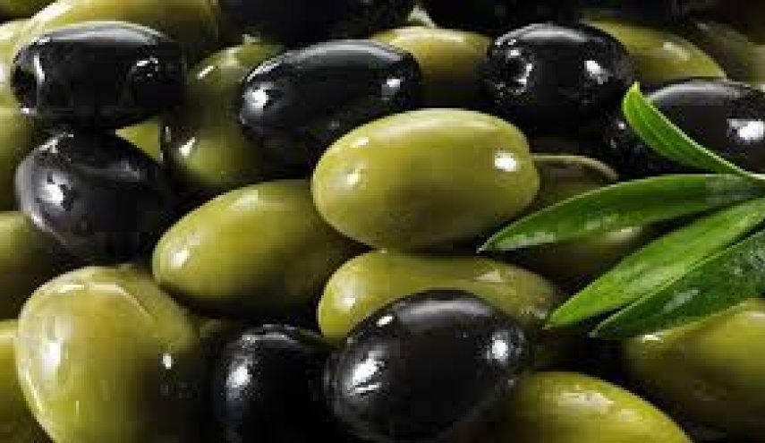 قشر الزيتون يكافح السرطان ويؤخر تطور الأورام  .. اليكم التفاصيل