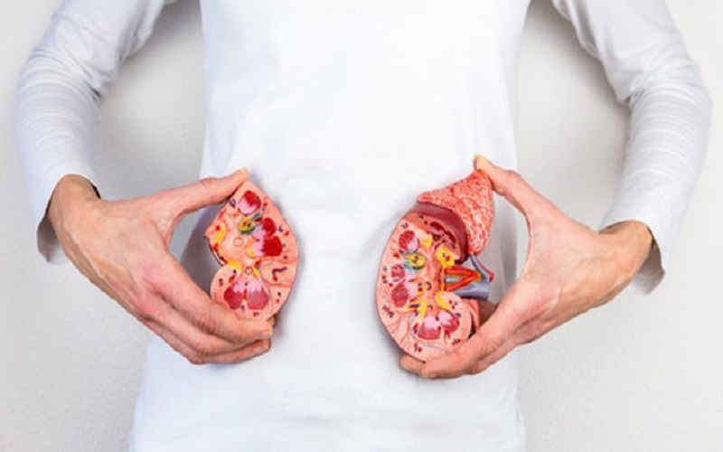 إحذروا هذه العادات السيئة تلحق الضرر بصحة الكلى