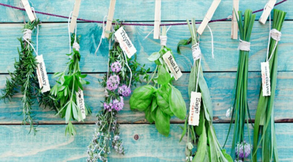 هذه الأعشاب تساعدكم على خفض ضغط دمكم المرتفع!