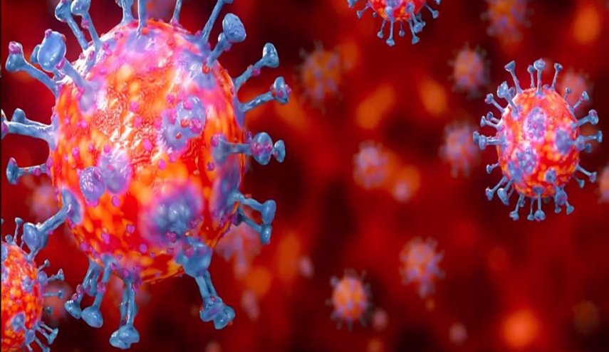 مئات الأنواع من فيروس كورونا قد تعيش في جسم الإنسان