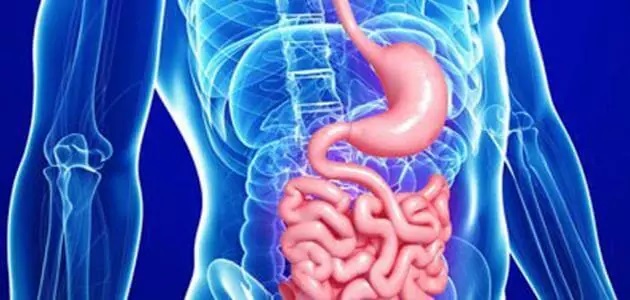  أمراض في الجهاز الهضمي تزيد من خطر الإصابة بكورونا .. تعرف عليها
