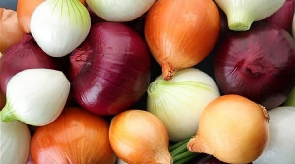 بصلة يوميا تحميك من مرض خطير