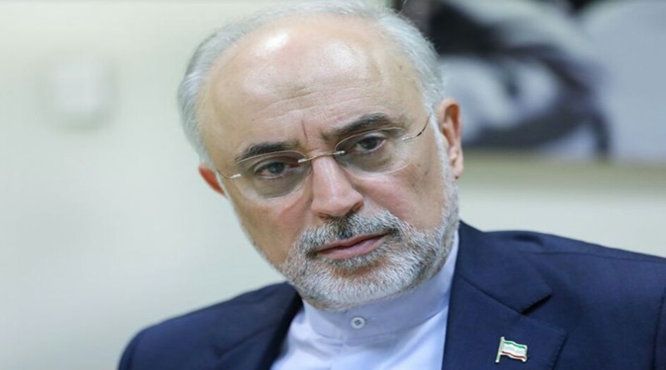 صالحي يتحدث عن زيارة غروسي الى طهران