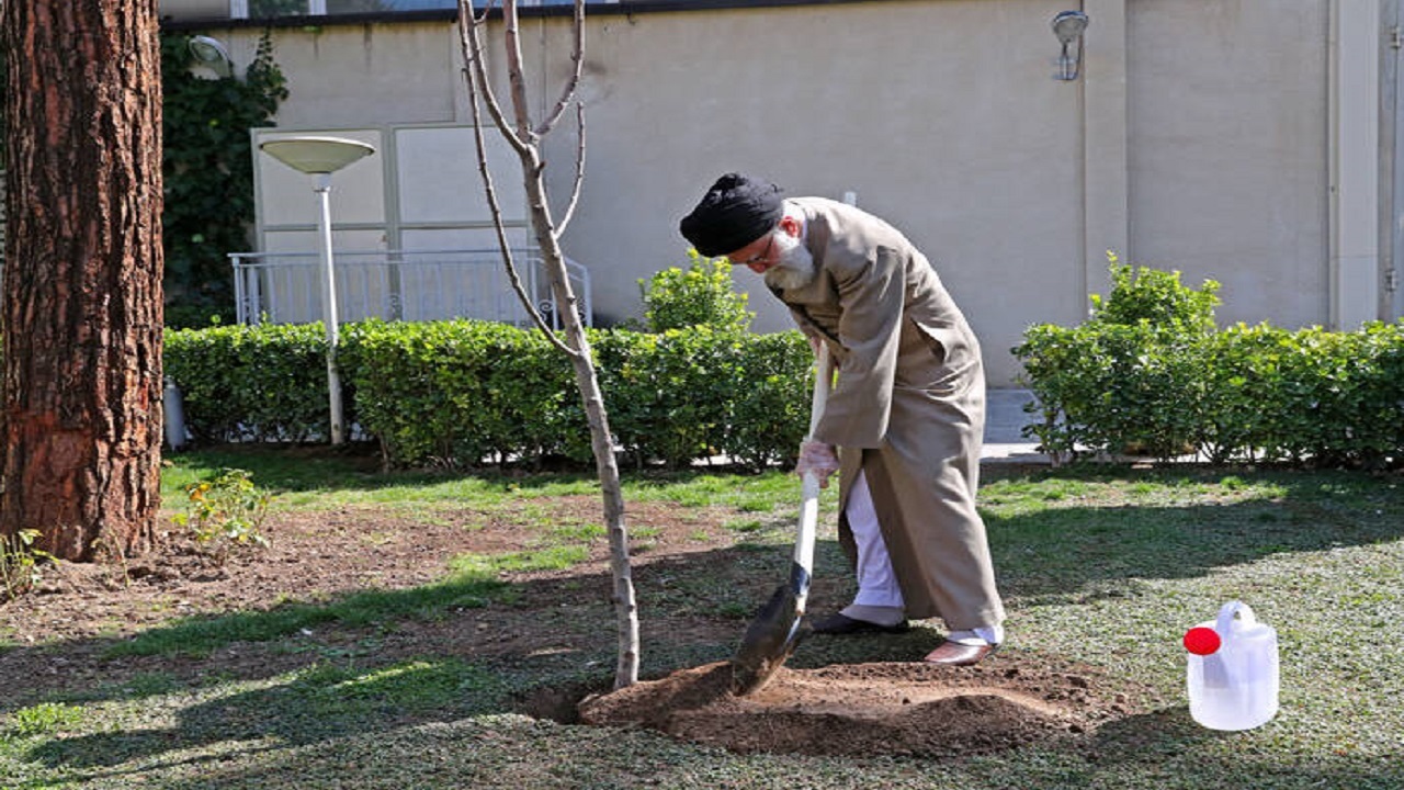 درخت در کلام وحی