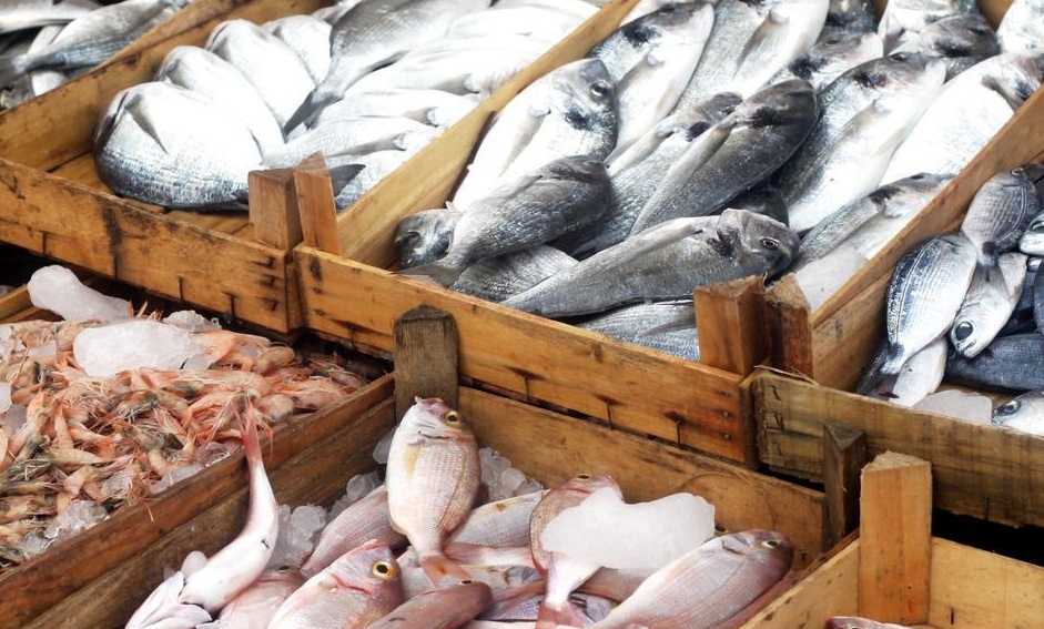 تحذير من انتشار نوع سام من الأسماك... لا شفاء منه