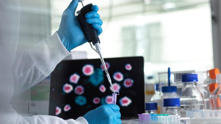 التحقيقات حول نشأة كورونا تكشف نتائج مفاجئة للعلماء