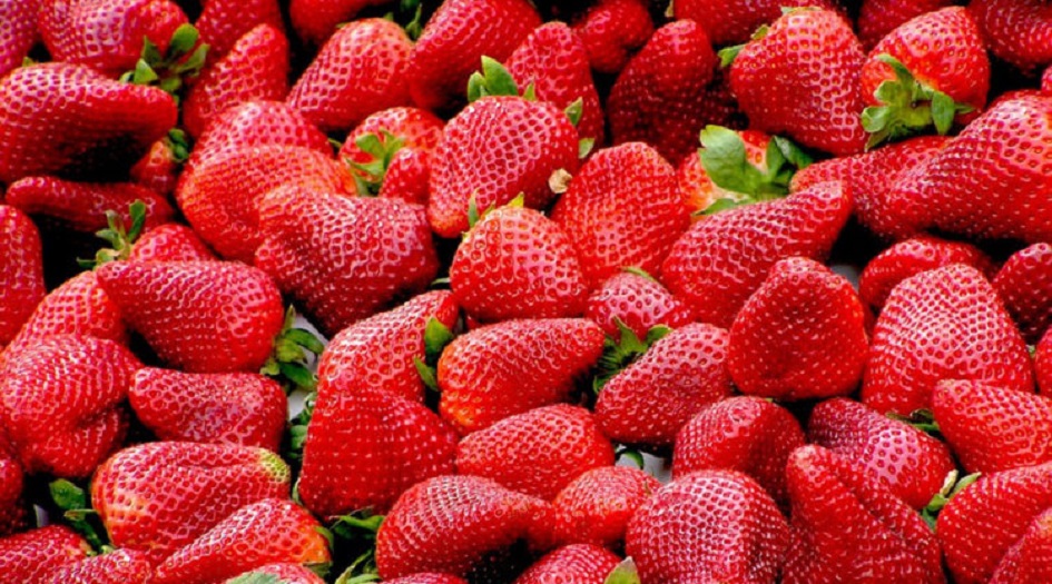 فوائد مدهشة لفاكهة الفراولة اللذيذة!