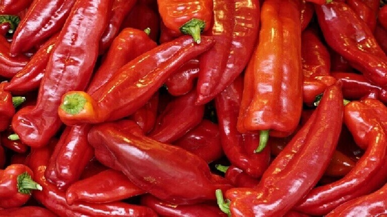 هل الفلفل الحار مفيد للجميع؟