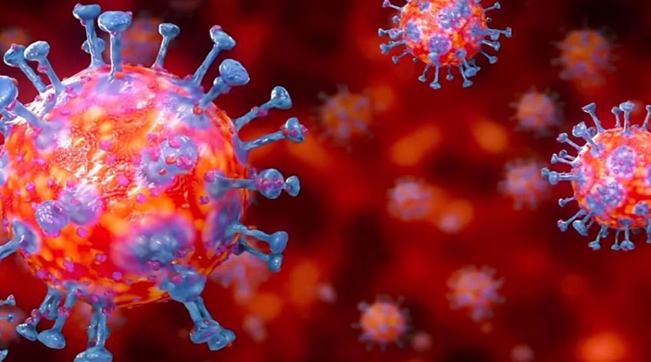 بعد طول انتظار.. علماء يقررون أصل كورونا