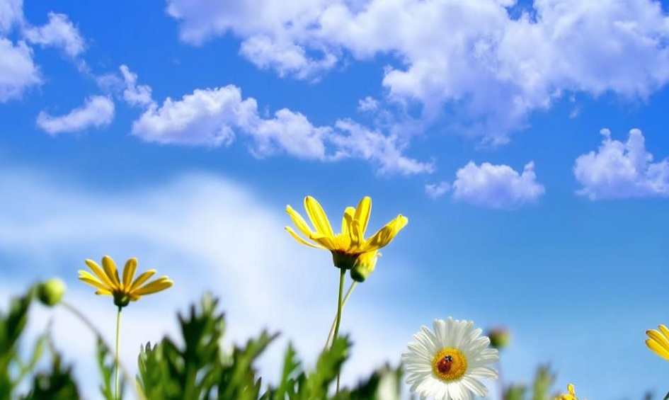  العراق.. آذار ينتهي بهذا الطقس وجدول للحرارة