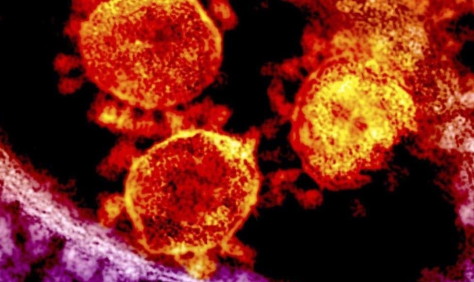 علماء يكشفون أدلة جديدة "مرعبة" عن كورونا