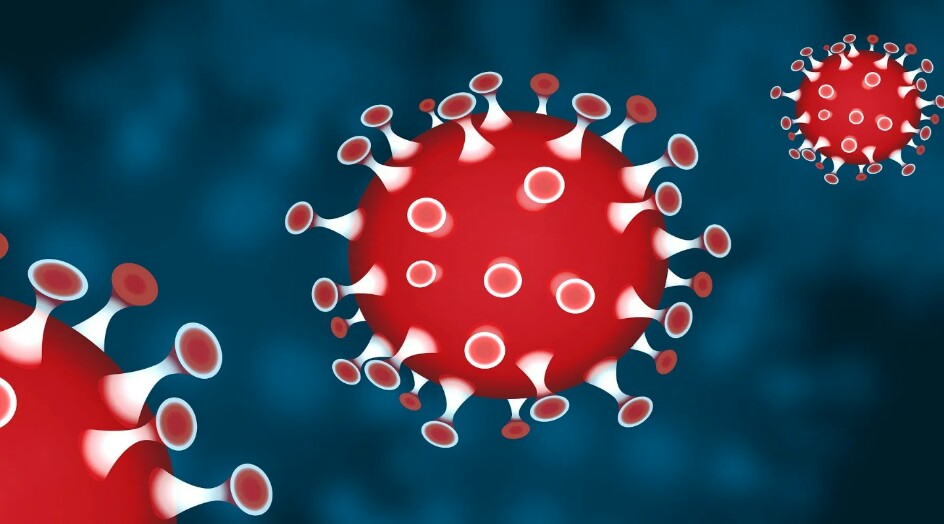 دراسة: الأجسام المضادة لكورونا تتلاشي بعد أيام قليلة أو حتى أسابيع!