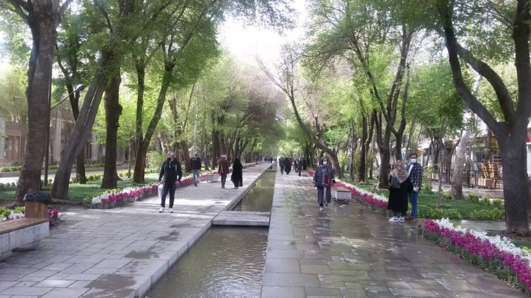 سفری مجازی به نصف جهان
