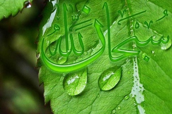 توجه به طبیعت در کلام وحی