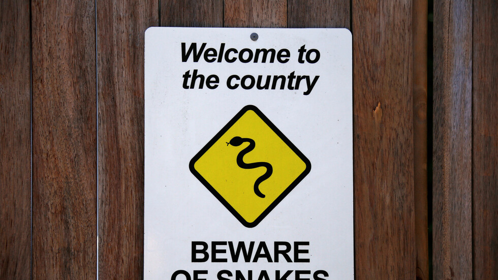 عائلة أسترالية تعثر على ثعبان حي في وجبة طعام جاهز