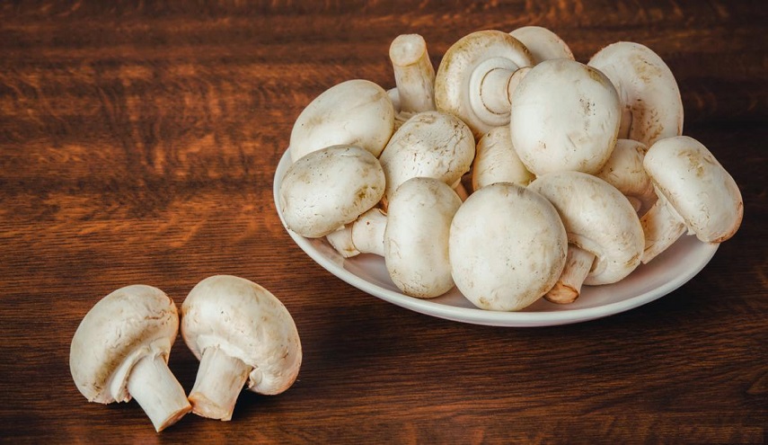 الفطر يقلص خطر الإصابة بالسرطان للنصف