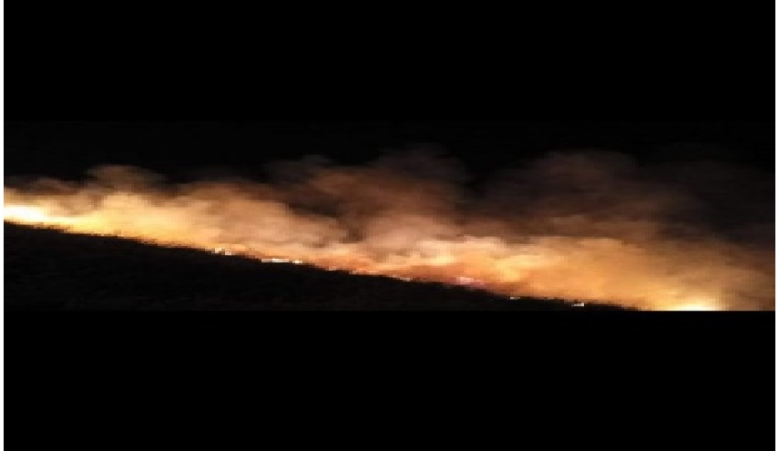 الصهاينة يهاجمون الاهالي ويشعلون النيران ويحطمون المركبات جنوب نابلس