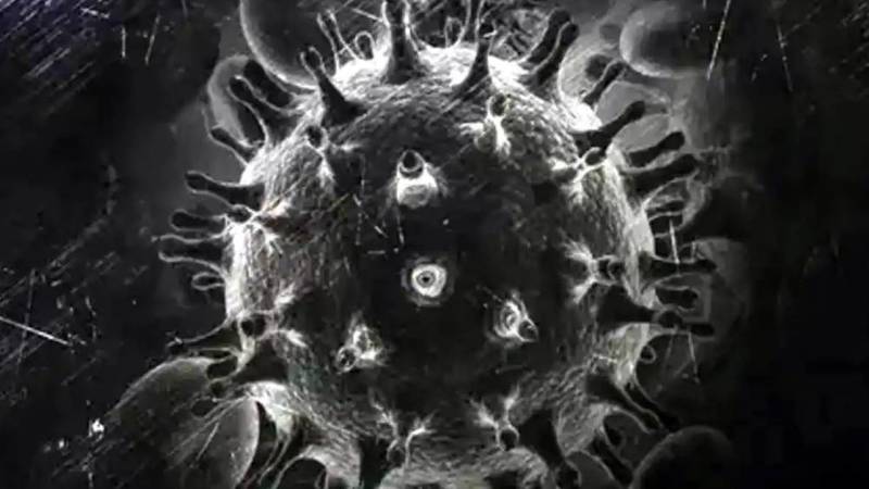 بالتفصيل.. الصحة العراقية توضح بشأن {الفطر الأسود} وعلاقته بكورونا