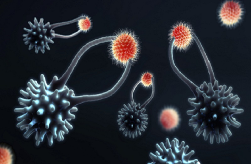 ألزهايمر يزيد من خطر الوفاة لدى المصابين بـ"كوفيد-19" بنحو 3 أضعاف