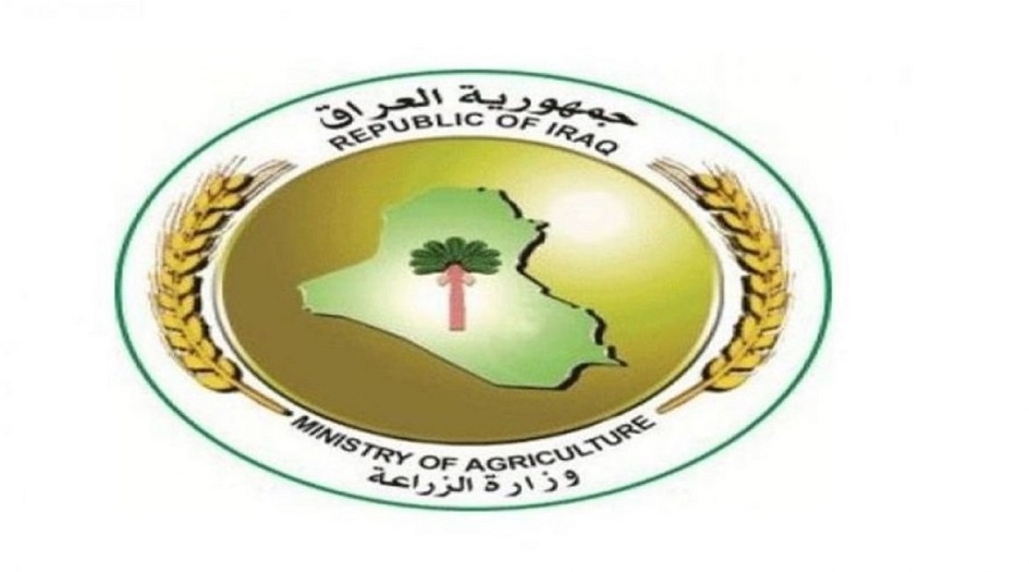 انفلونزا الطيور.. الزراعة العراقية تحدد أسباب ظهور المرض في البصرة