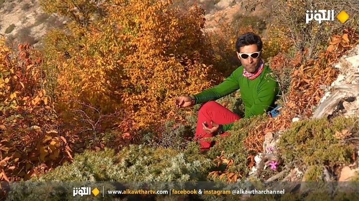 بلادي - قسم الـ 32