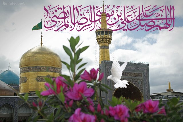 حكم وأقوال الإمام الرضا (ع)