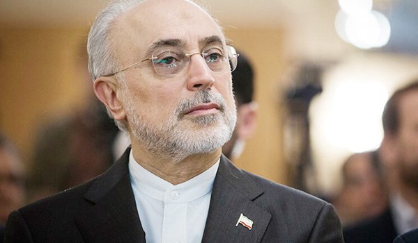 صالحي: قائد الثورة يؤكد دوما على توفير 20 الف ميغاواط من الطاقة الكهرونووية