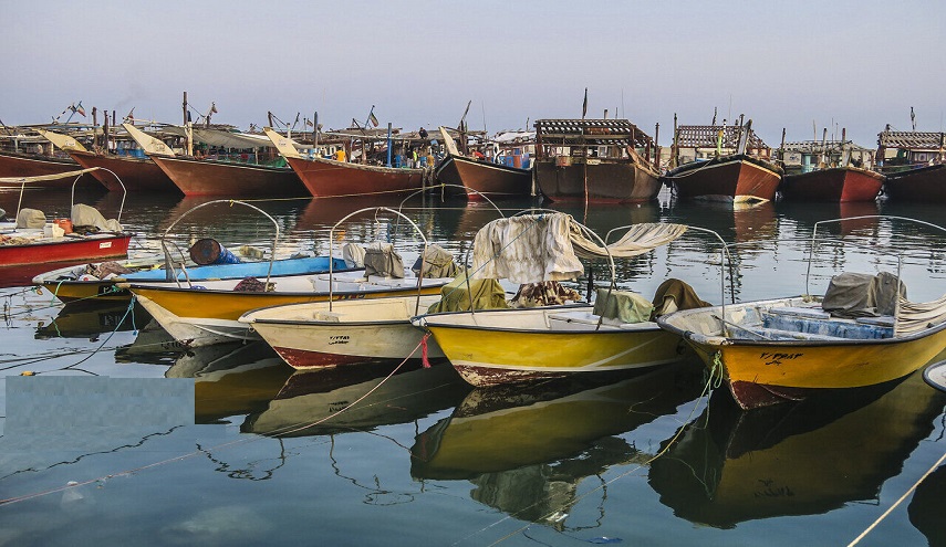 محافظة هرمزكان قطب الثروة السمكية في إيران
