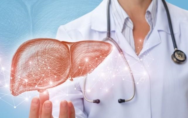 مشروبات تنظيف الكبد.. بين الحقيقة والشائعات؟