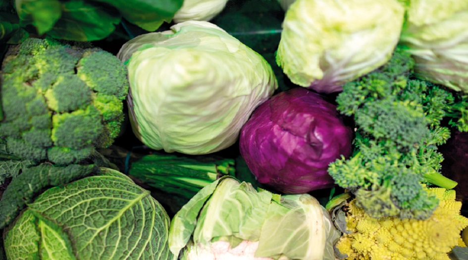 اطعمة تحتوي على فيتامين سي أكثر من البرتقال تعرف عليها